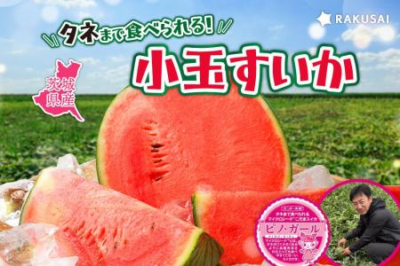 タネまで食べられる!小玉すいか いなみ農園さんの『 タネまで食べられる!小玉すいか いなみ農園さんの『