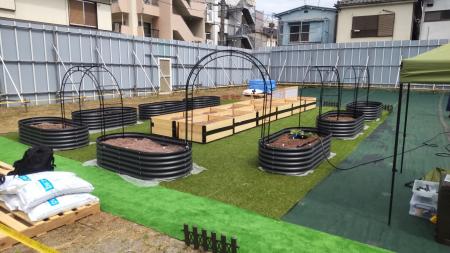 都会の菜園 都会の菜園