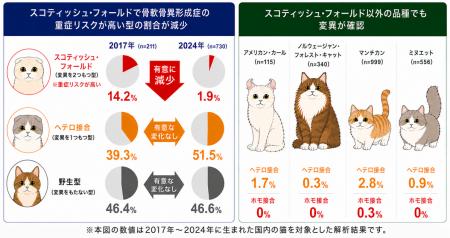 猫の骨軟骨異形成に関連する遺伝子変異、重症リスクが