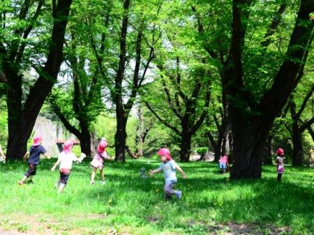 全国の企業の間で、従来の「植樹」から一歩進んだ...