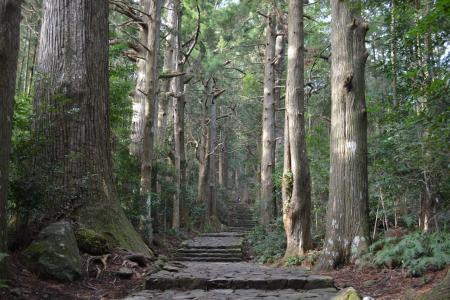 世界遺産・熊野古道で「距離ゼロ合宿」を実施 世界遺産・熊野古道で「距離ゼロ合宿」を実施