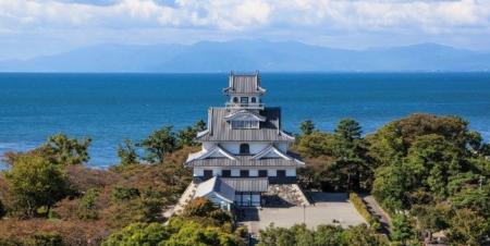 ［RFI（滋賀県長浜市）］公式ホームページリニューア