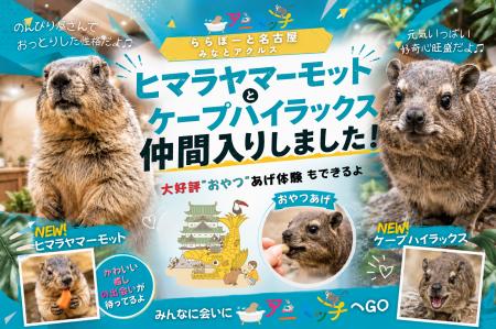 屋内型ふれあい動物園「アニタッチ ららぽーと名古屋 屋内型ふれあい動物園「アニタッチ ららぽーと名古屋