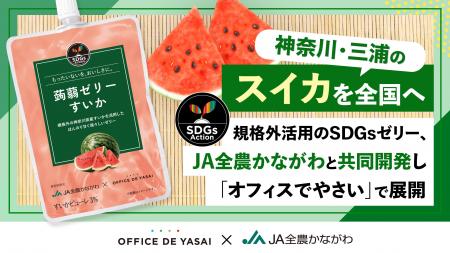 神奈川・三浦のスイカを全国へ。規格外活用のSDGsゼリ 神奈川・三浦のスイカを全国へ。規格外活用のSDGsゼリ