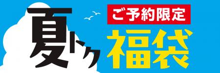 【コメリの夏トク福袋】56分で満充電の最新「EcoFlow 【コメリの夏トク福袋】56分で満充電の最新「EcoFlow