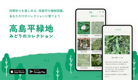 (株)大凧、地域のみどりをコミュニティツールに変え (株)大凧、地域のみどりをコミュニティツールに変え