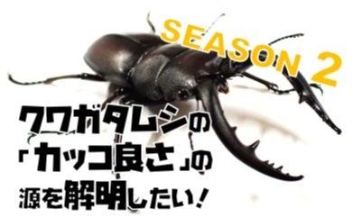 クワガタムシの「カッコよさ」の源を解明するために2 クワガタムシの「カッコよさ」の源を解明するために2