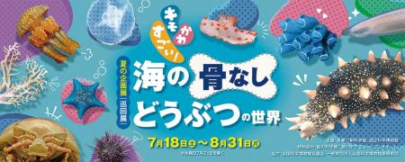 【多摩六都科学館】この夏、 “キモかわすごい” 海の生 【多摩六都科学館】この夏、 “キモかわすごい” 海の生