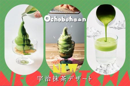 抹茶好き必見!新茶の季節にぴったりの「藤井茶園」茶 抹茶好き必見!新茶の季節にぴったりの「藤井茶園」茶