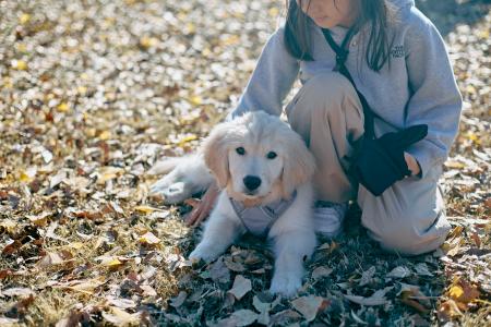 【ペットの家族化・イベント初心者応援】愛犬と120%楽