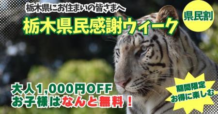 栃木県民限定!県民の日を彩る特別な1週間(栃木県民 栃木県民限定!県民の日を彩る特別な1週間(栃木県民