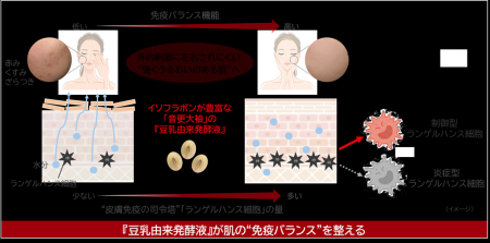ノエビアグループ、北海道産丸大豆「音更大袖」の『豆