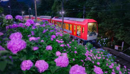 箱根登山電車「夜のあじさい号」6月13日(土)運行開始 箱根登山電車「夜のあじさい号」6月13日(土)運行開始