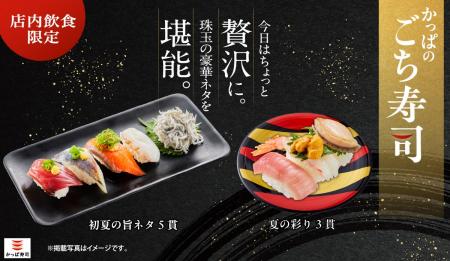 日常を離れた“ご褒美ネタ”の「ごち寿司」シリーズに、