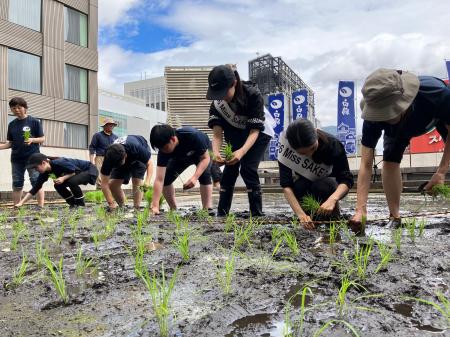 今年が最後の米作り！自社ビル屋上「白鶴銀座天空農園
