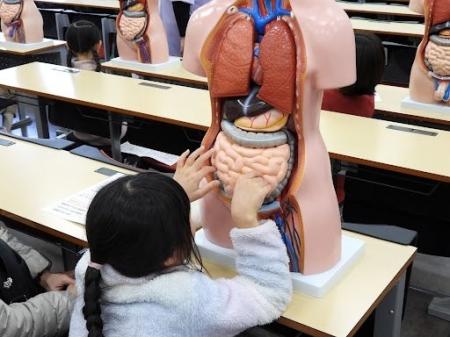 【新潟医療福祉大学】５歳～小学生の参加者募集！７月