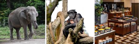 ～ホテルブッフェで消費されなかった果物を動物たちの