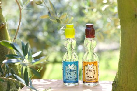 小豆島から“平和”を持ち帰る。オリーブをテーマにした
