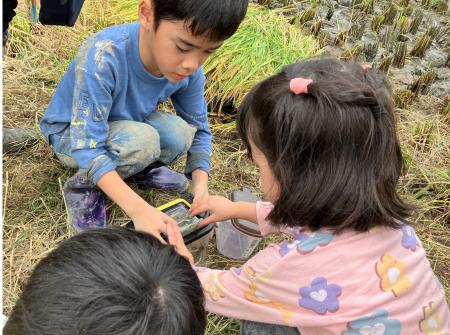 プレナス米文化継承活動　親子で学ぶ「田んぼの生きも
