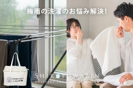 【関東も梅雨入り】洗濯代行「しろふわ便」の利用者数