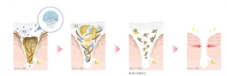 これまでは両立が難しかった「高い角栓洗浄力」と「肌