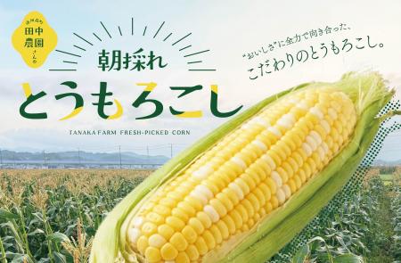 “朝採れ”の甘さをそのままお届け!ヤタロー地産地消工 “朝採れ”の甘さをそのままお届け!ヤタロー地産地消工