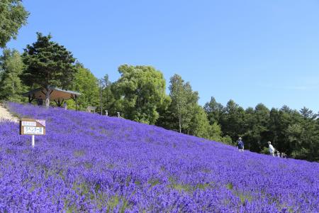北海道中富良野町・タイムズ２４、「中富良野町営駐車