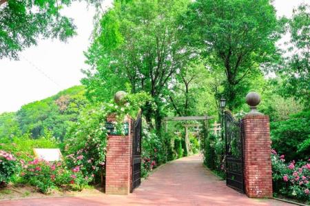 【日本経済大学】「令和８年 緑化推進運動功労者内閣