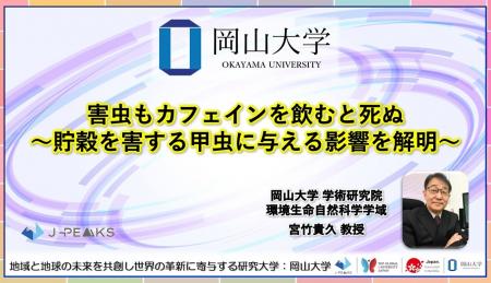【岡山大学】害虫もカフェインを飲むと死ぬ～貯穀を害