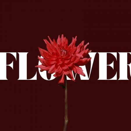 情熱と繊細さが共存する一輪の花。新世代アーティスト
