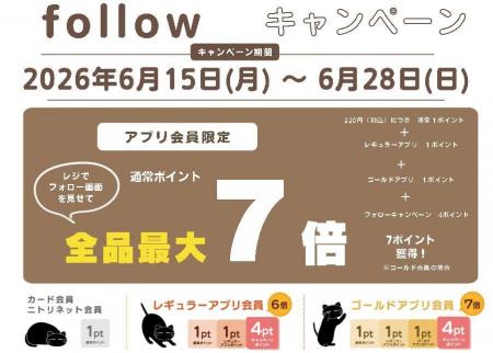 【ニトリデコホーム】期間限定！店舗スタッフ発信のイ