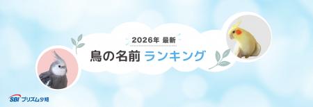 SBIプリズム少短【2026年最新】鳥の名前ランキングを