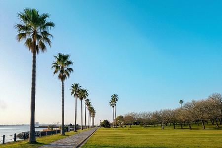 長崎空港すぐ!大村湾を望む芝生の上に新フェス誕生。 長崎空港すぐ!大村湾を望む芝生の上に新フェス誕生。