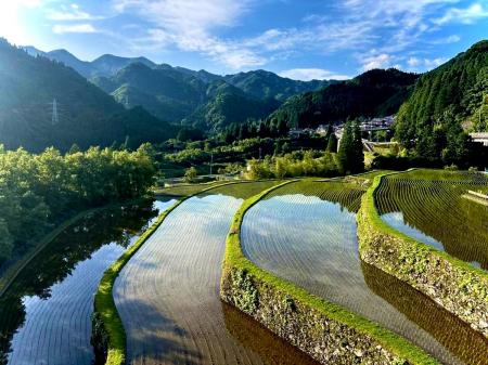 菊池川流域の米づくりを歴史文化・自然環境・食味から