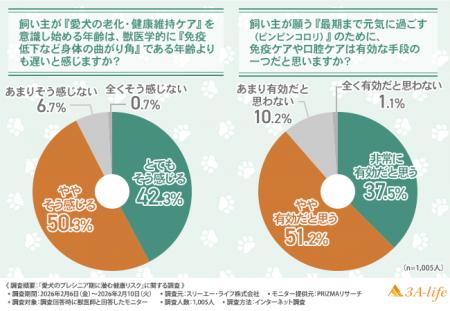 【獣医師1,005人に調査】愛犬の3～5歳は「身体の曲が