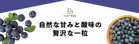 綿半レイトウco.シリーズより、甘みと酸味が絶妙な「