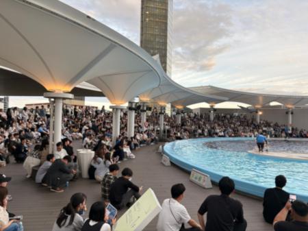 【800名完売御礼】「四国水族館ナイト~夜の水族館ま 【800名完売御礼】「四国水族館ナイト~夜の水族館ま