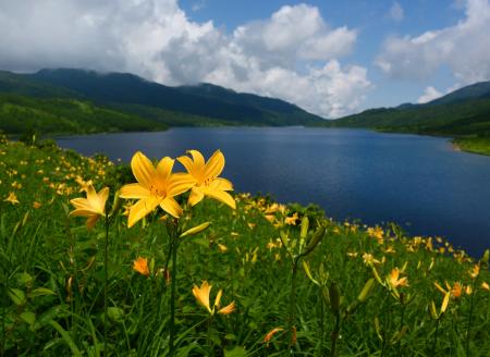 東アジア最大級のチャツボミゴケ群生地と天空の湖へ。