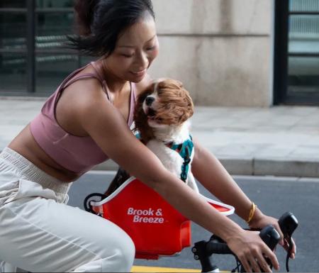 Brook & Breeze、Interpets Osaka 2026 に出展　“犬視