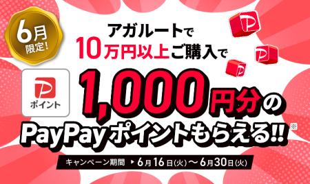 【キャンペーン情報】6月限定！1000円分のPayPayポイ