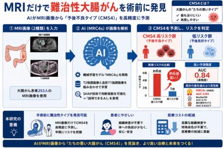 MRI画像だけで大腸がんの「予後不良タイプ」を見抜く