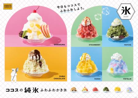 【ココス】ザクザク食感が楽しい「ドバイチョコ」の純 【ココス】ザクザク食感が楽しい「ドバイチョコ」の純