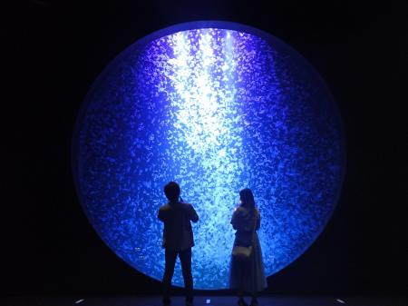 【JAF山形】JAFデー in 東北エプソンアクアリウムかも