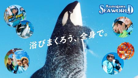 【鴨川シーワールド】千葉県発の気鋭バンド×千葉県老
