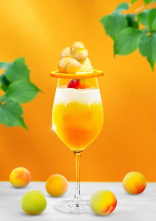 梅酒カクテル専門店「The CHOYA（ザ チョーヤ）銀座BA