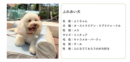 レイクウッズガーデン 日本産まれのオーストラリアン