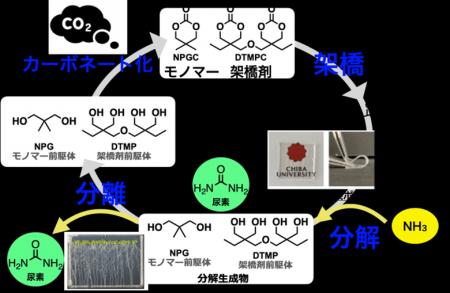 CO2から生まれ、肥料と原料へ還るプラスチックシステ