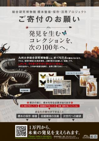 九州大学総合研究博物館「標本整備・保存・活用プロジ