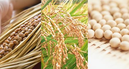 腸活の次は「発酵肌活」の時代へ9億個の納豆菌と向き