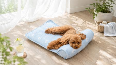 犬の熱中症、「室内でも気をつけてる？」暑さ対策に選